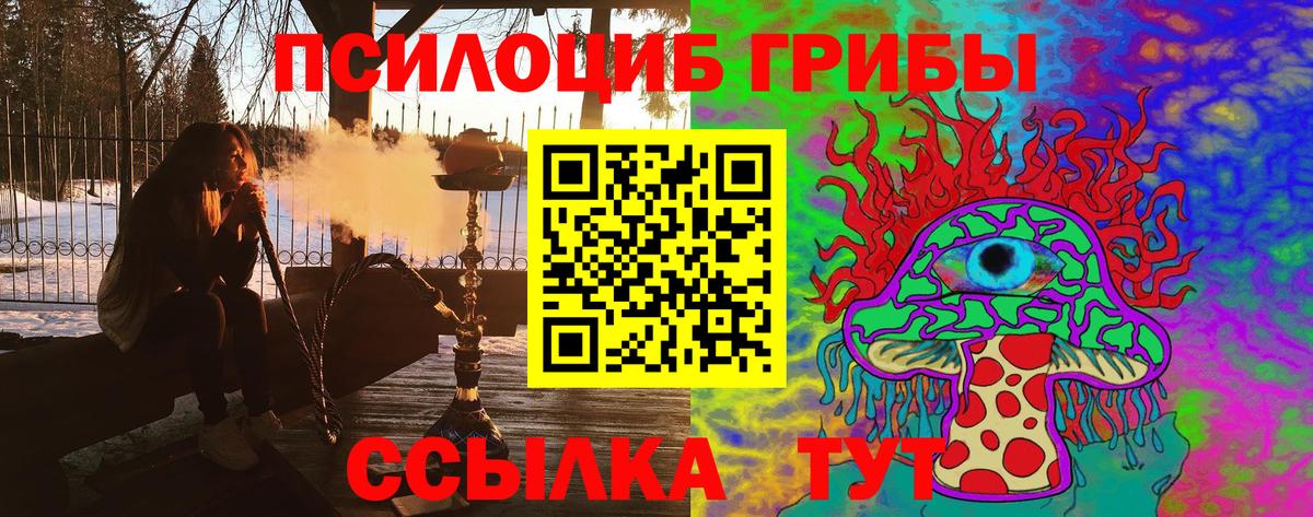 Псилоцибиновые грибы Psilocybine cubensis  Вход с VPN  Киселёвск 