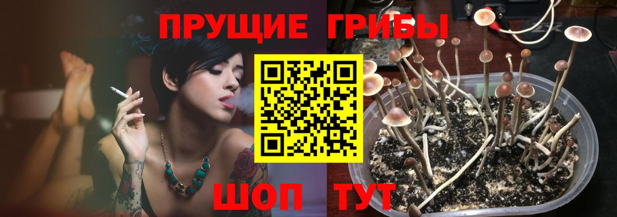 Галлюциногенные грибы Magic Shrooms Киселёвск